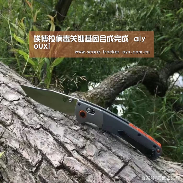 埃博拉病毒关键基因合成完成-aiyouxi(图1)