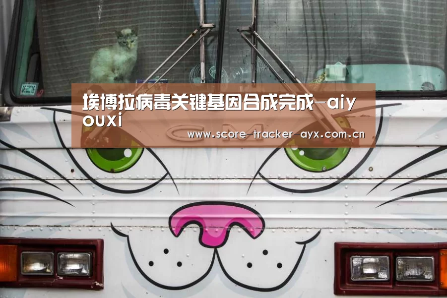 ayx体育