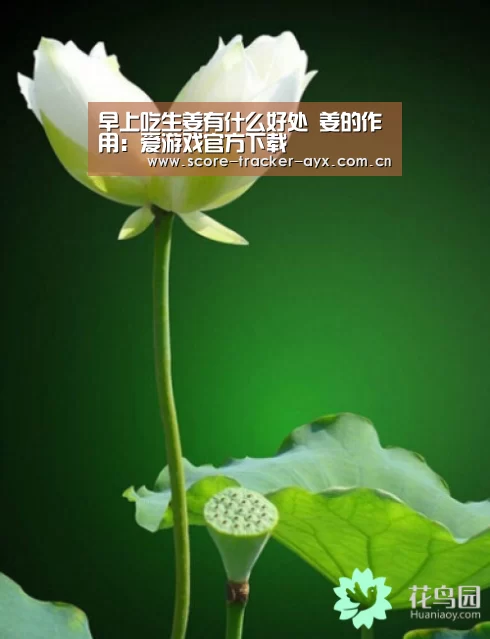 爱游戏官方下载