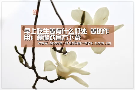 爱游戏